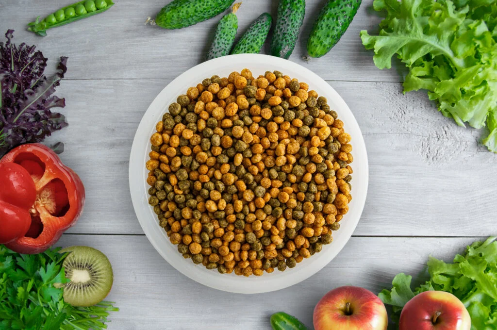 Healthy Bird Food