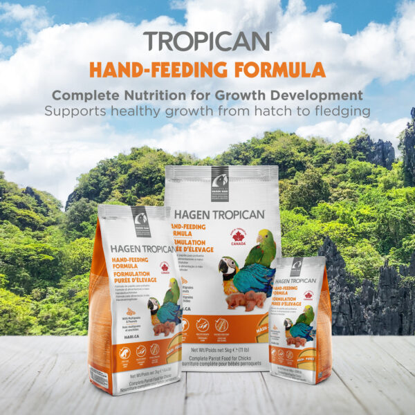 Hand-Feeding Formula for Baby Birds, Mash