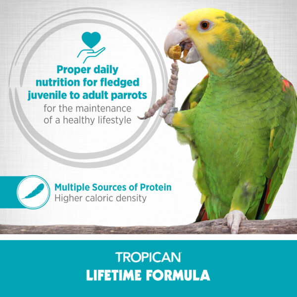 Lifetime Formula for Parrots, 4 mm Granules
