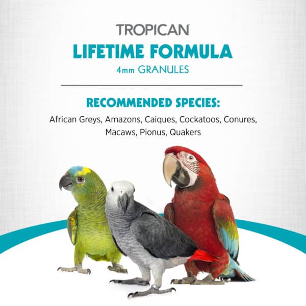 Lifetime Formula for Parrots, 4 mm Granules