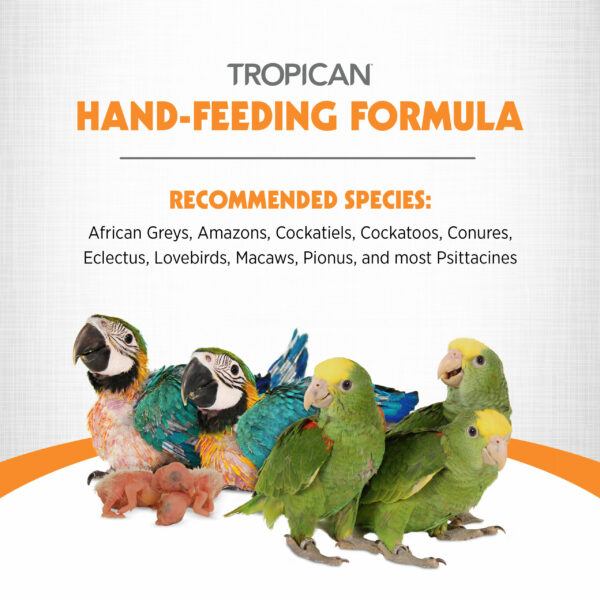 Hand-Feeding Formula for Baby Birds, Mash