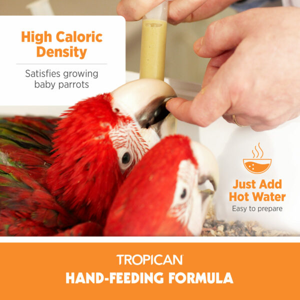 Hand-Feeding Formula for Baby Birds, Mash