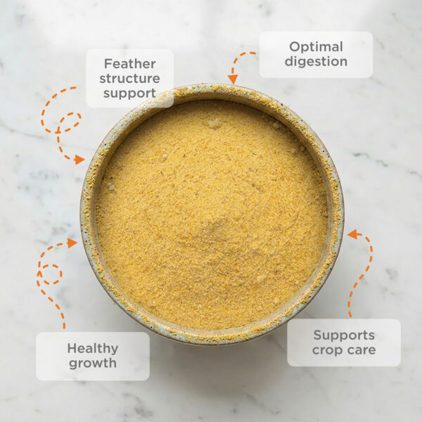 Hand-Feeding Formula for Baby Birds, Mash