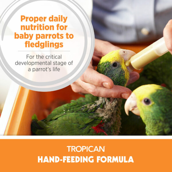 Hand-Feeding Formula for Baby Birds, Mash