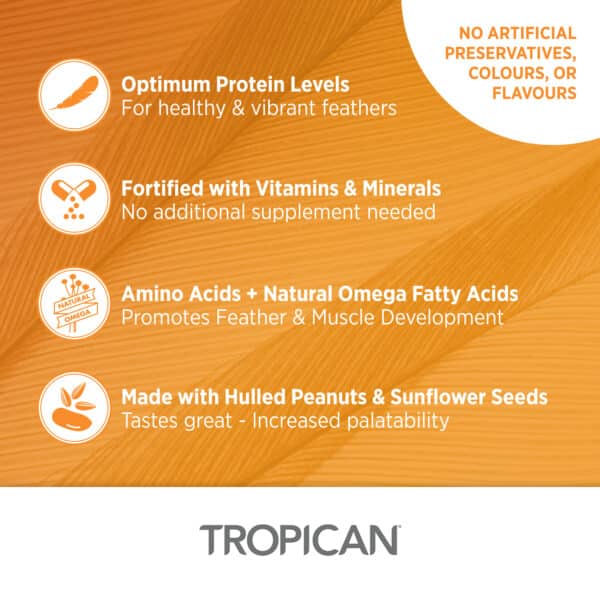 Hand-Feeding Formula for Baby Birds, Mash